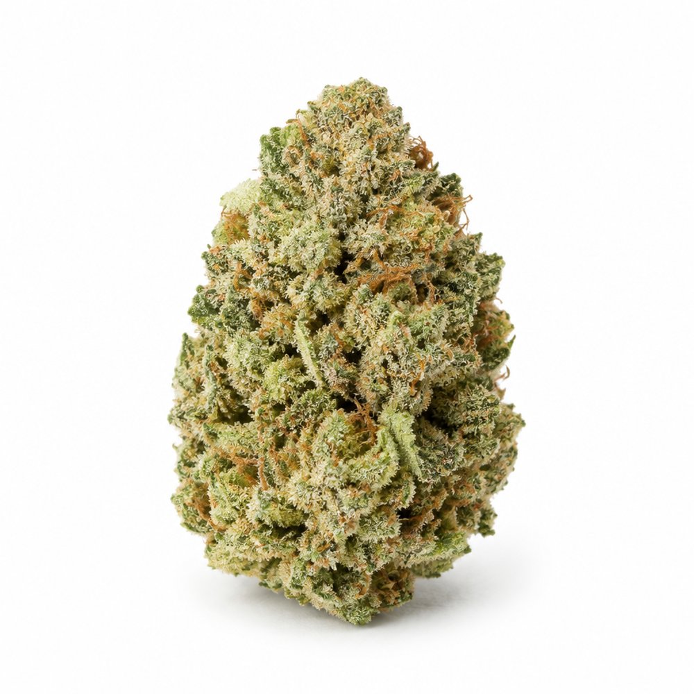 Amnesia Haze Indoor Hydro