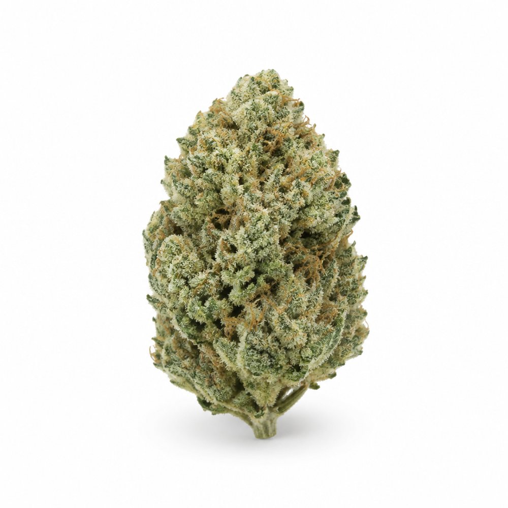 Amnesia — High Mode