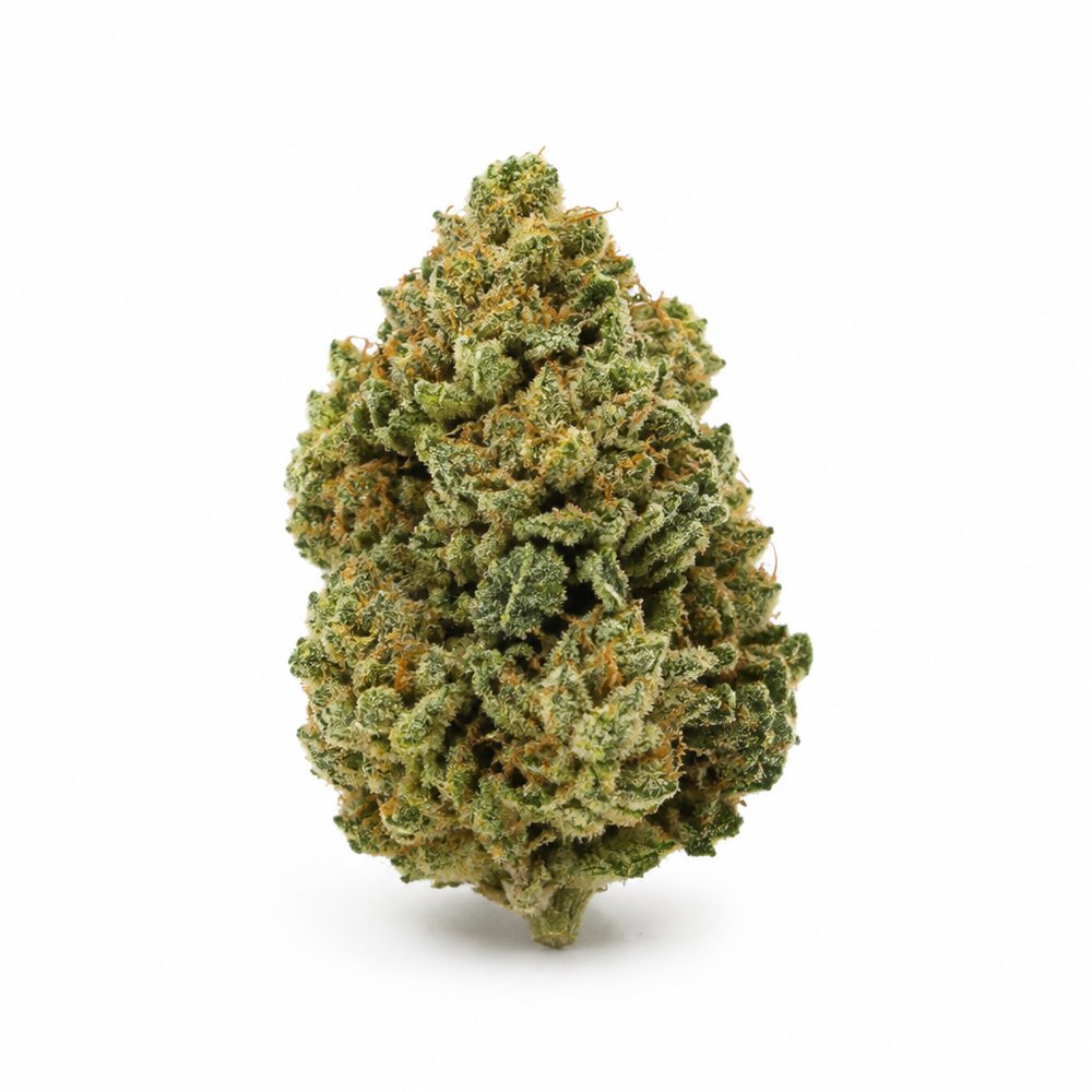 Critical — High Mode